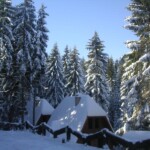 KONICA MINOLTA DIGITAL CAMERA